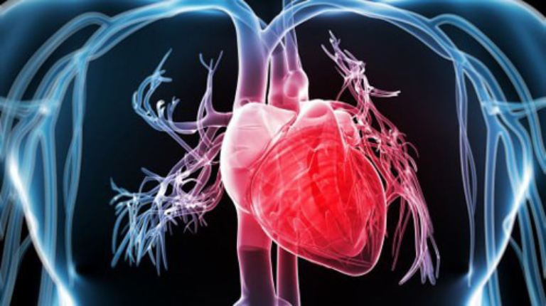 Đau thượng vị buồn nôn là triệu chứng không phổ biến của các bệnh lý liên quan đến vấn đề tim mạch