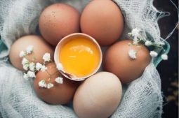 Trứng là một thực phẩm giàu dinh dưỡng phù hợp với người bệnh gút