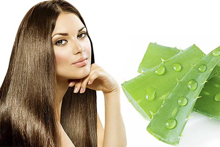 Trong nha đam chứa loại dưỡng chất có tác dụng, phục hồi hư tổn và làm giảm rụng tóc hiệu quả
