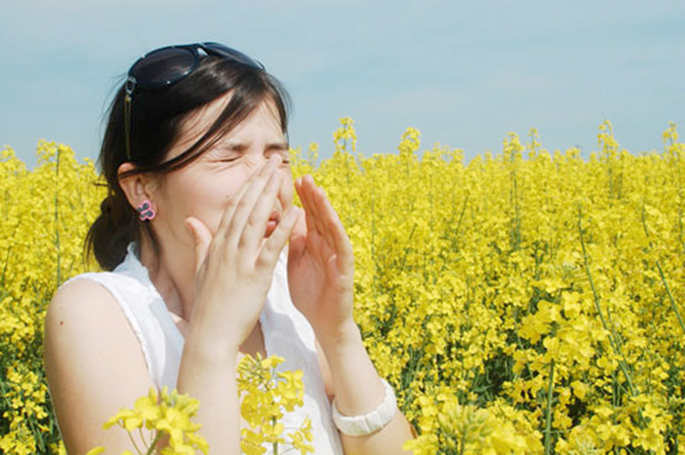Phấn hoa là một trong những tác nhân gây ra viêm mũi dị ứng