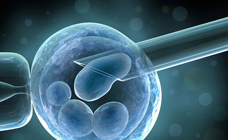 Tinh trùng dị dạng có ảnh hưởng đến thai nhi gây dị tật?