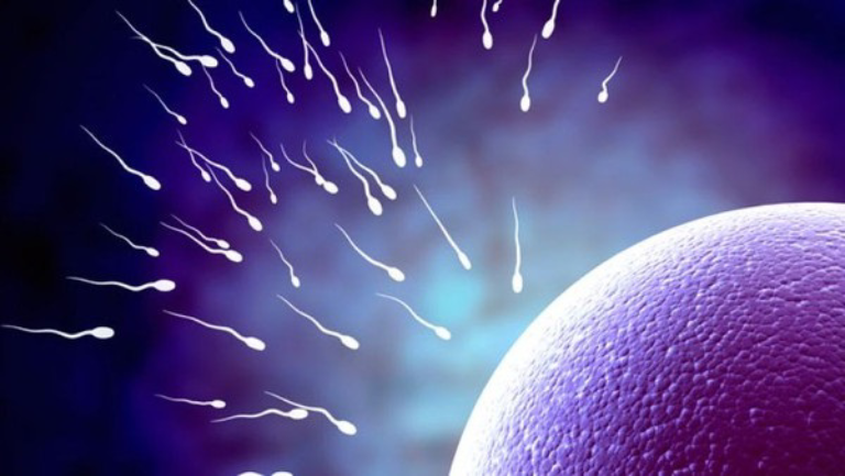 Tinh trùng sống được bao lâu trong tử cung & ngoài không khí