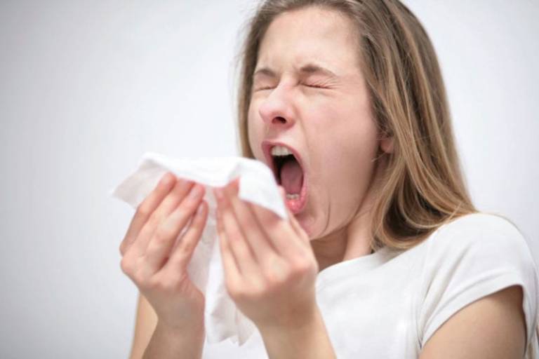 Hắt hơi liên tục và chảy nước mũi thường xuyên là dấu hiệu hay gặp nhất của bệnh