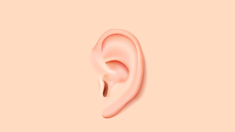 các bệnh về tai