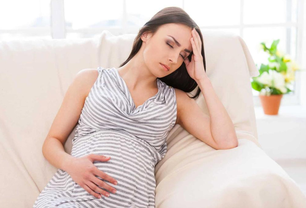 cây nhọ nồi chữa đau dạ dày cho phụ nữ mang thai