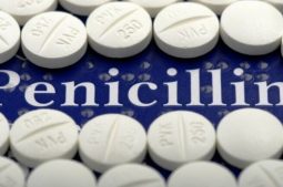 Kháng sinh Penicillin là thuốc chữa giang mai được sử dụng nhiều nhất