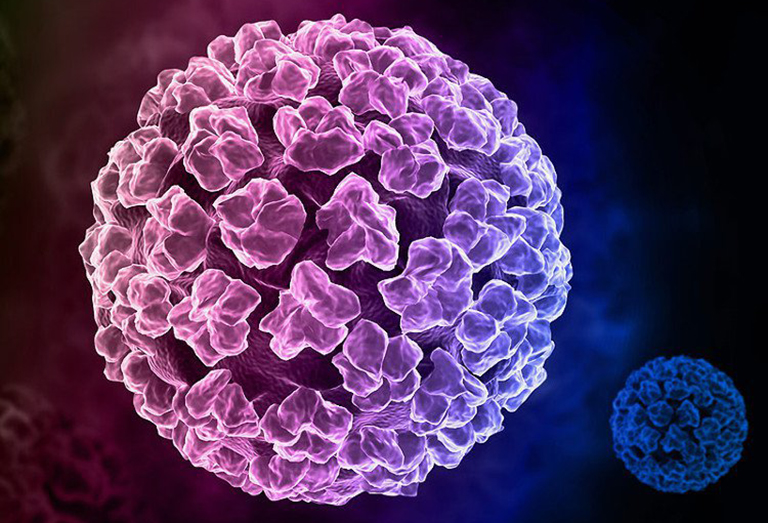 Vi khuẩn HPV là tác nhân gây ra bệnh sùi mào gà ở miệng