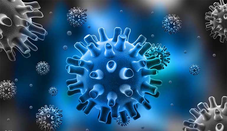 virus herpes là gì