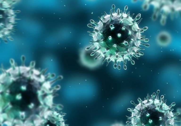 HPV virus có thể lây lan và tốc độ lây nhiễm là rất cao