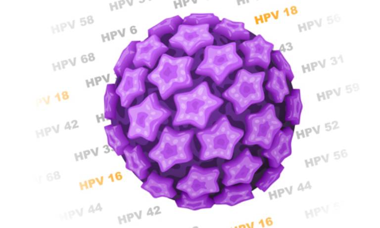 HPV virus có rất nhiều chủng khác nhau