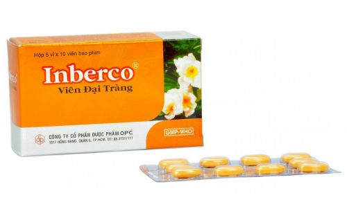 Thuốc đại tràng Inberco là thuốc điều trị những bệnh gì?