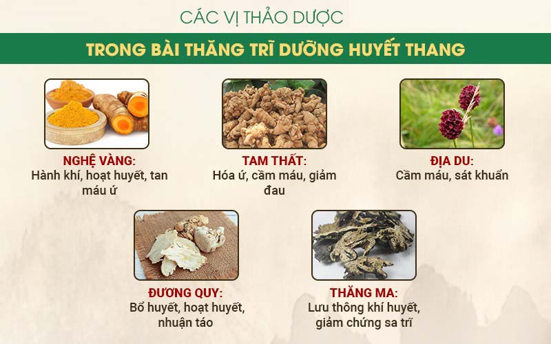 Ths.Bs Nguyễn Thị Tuyết Lan tư vấn giải pháp điều trị bệnh trĩ trong chương trình “Góc nhìn người tiêu dùng” – VTC2