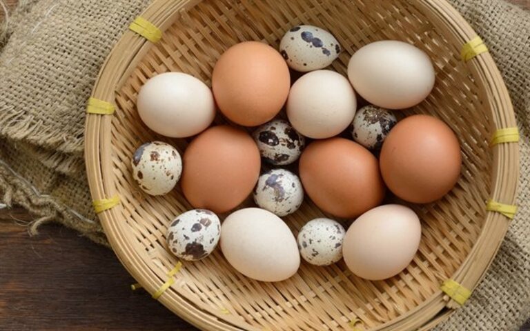Bị sỏi thận có nên ăn trứng? (gà, vịt, cút...)