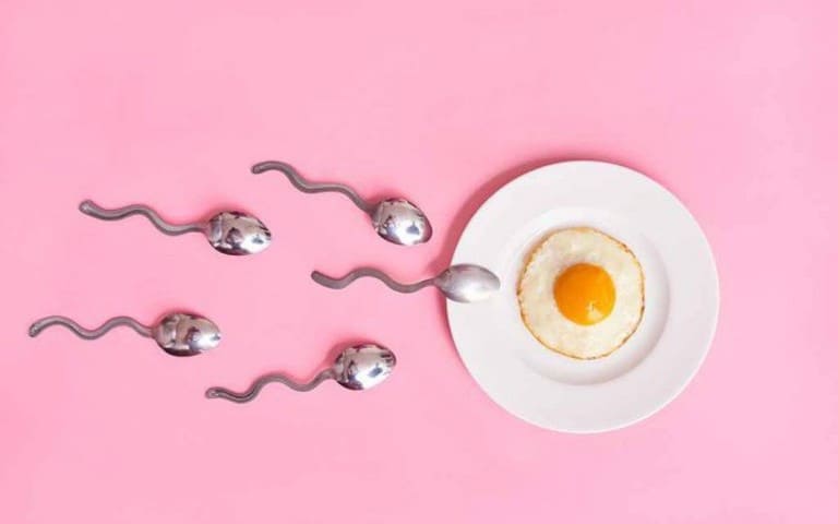 tinh trùng tấn công trứng để thụ thai
