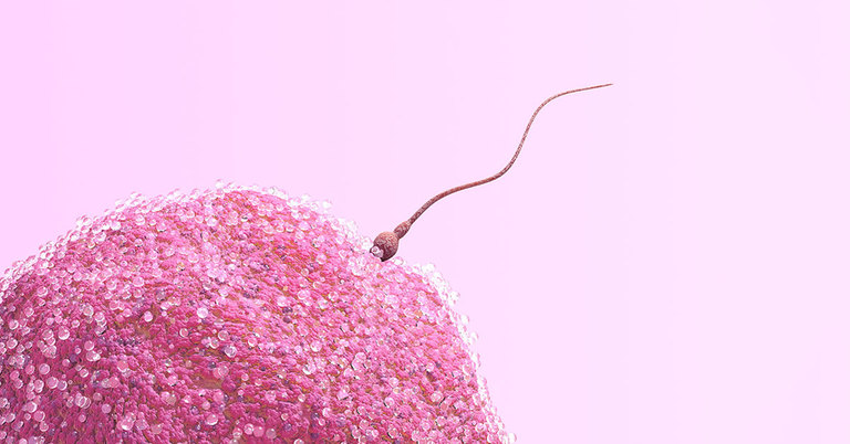Ung thư buồng trứng có mang thai được không?