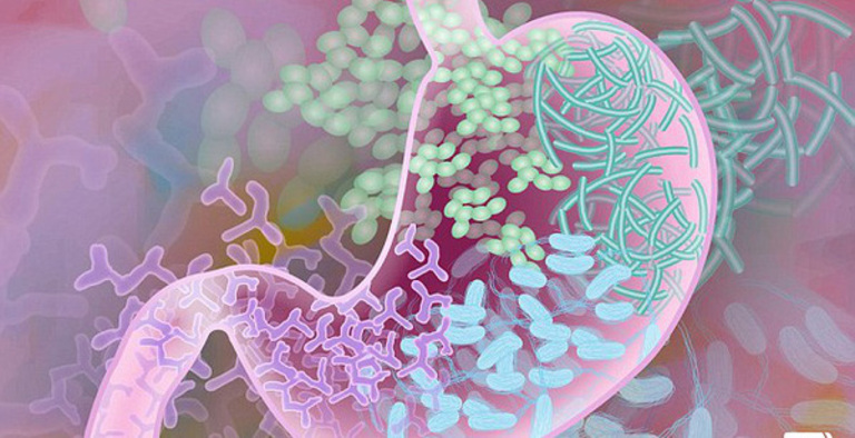 Vi khuẩn đường ruột là gì? Tính chất và điều cần biết