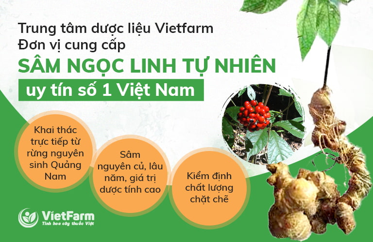 Trung tâm Vietfarm cam kết về chất lượng sâm Ngọc Linh