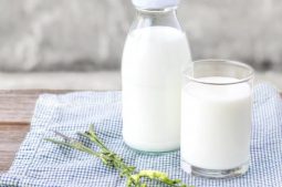 Sữa là thực phẩm dinh dưỡng, tốt cho sức khỏe và được sử dụng phổ biến