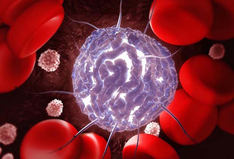 ghép tế bào gốc điều trị xơ gan có tác dụng gì