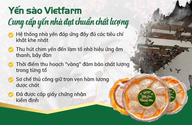 Trung tâm Vietfarm sở hữu hệ thống nhà yến lớn nhất Khánh Hoà đạt chuẩn 