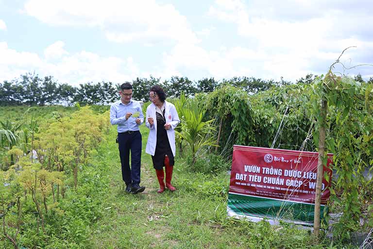 Vườn thảo dược đạt chuẩn GACP - WHO của Trung tâm Phụ Khoa Đông y Việt Nam