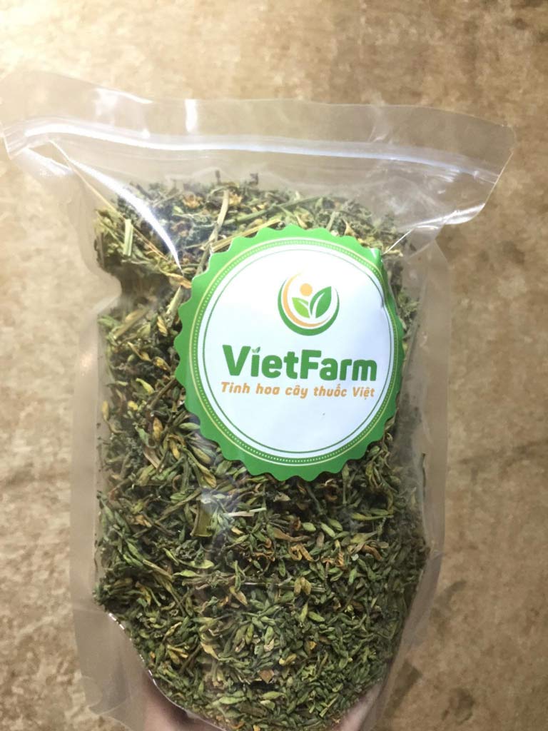 Hoa đu đủ đực Vietfarm sấy khô thăng hoa đạt chuẩn GACP
