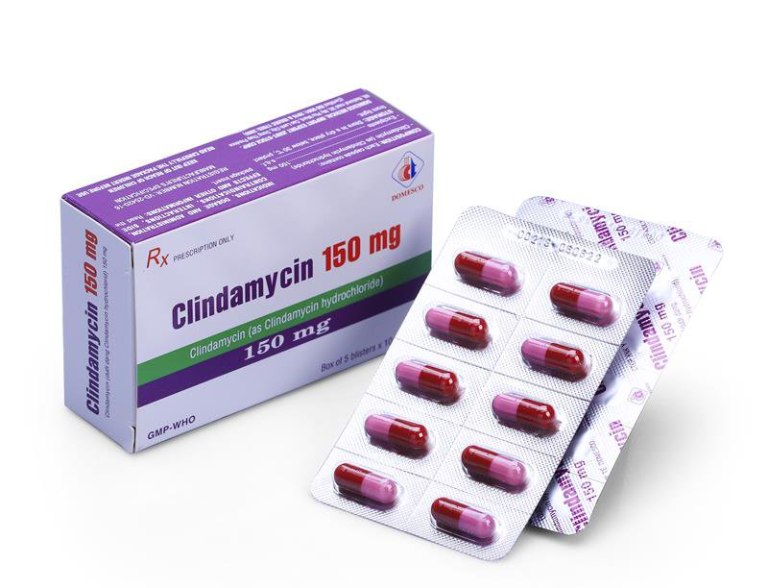 Clindamycin thuộc nhóm kháng sinh có tác dụng ức chế quá trình tổng hợp protein của vi khuẩn