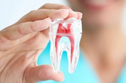 Răng đã lấy tủy tồn tại được bao lâu là thắc mắc chung của nhiều người