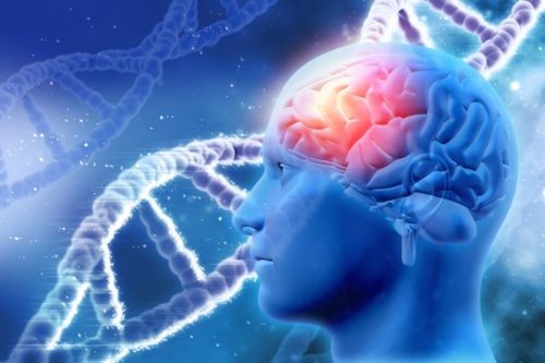 Gen di truyền và đột quỵ có mối liên quan mật thiết với nhau